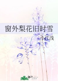 窗外梨花舊時雪